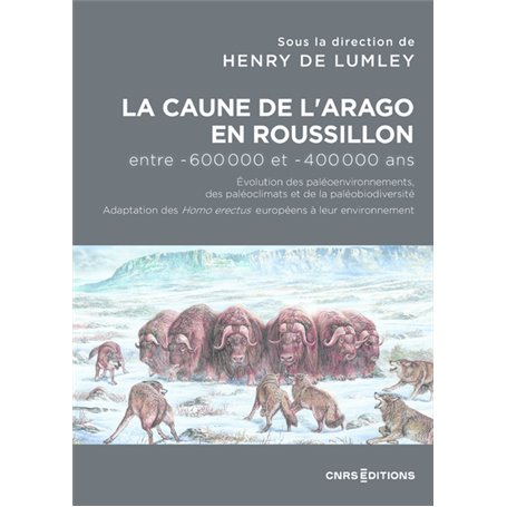 La Caune de l'Arago en Roussillon entre -600 000 et -400 000 ans - Les Homo Erectus européens dans l