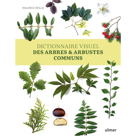 Dictionnaire visuel des arbres et arbustes communs