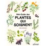 Mini-guide des plantes qui soignent