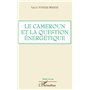 Le Cameroun et la question énergétique