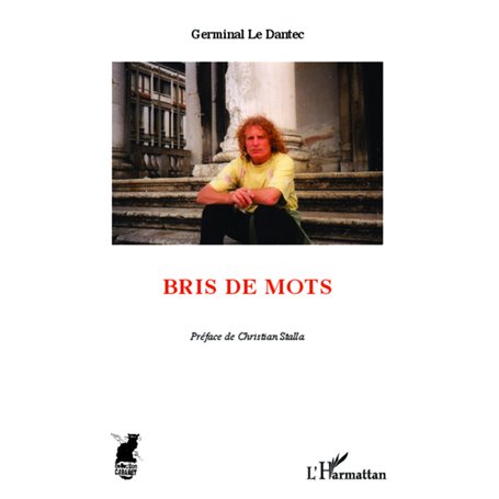 Bris de mots