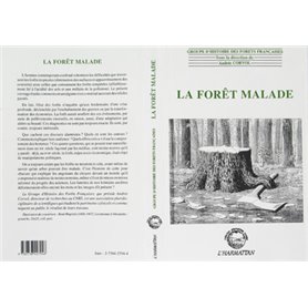 Toxicomanies et lien social en Afrique