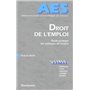 droit de l'emploi
