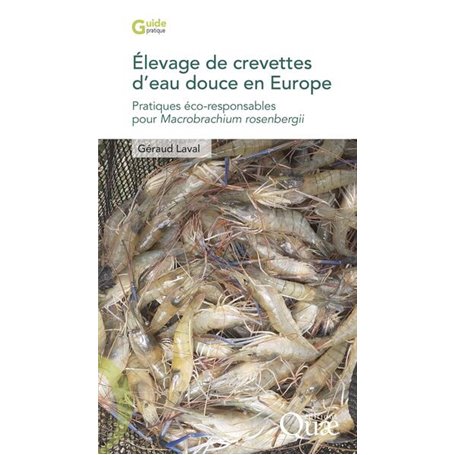Élevage de crevettes d'eau douce en Europe