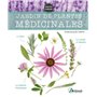 Jardin de plantes médicinales