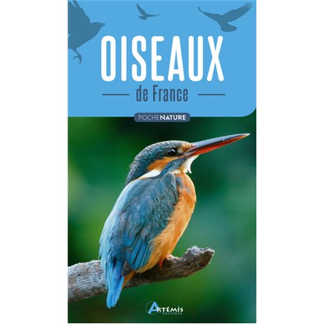 Oiseaux de France