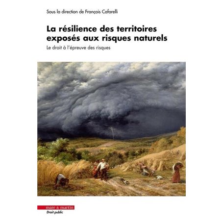 La résilience des territoires exposés aux risques naturels