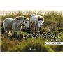 La Camargue
