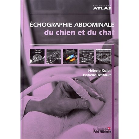 Echographie Abdominale du chien et du chat