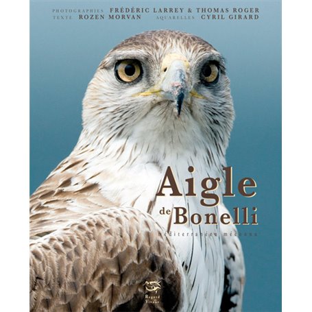 AIGLE DE BONELLI - MEDITERRANEEN MECONNU