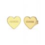 Boucles d´oreilles Femme Guess JUBE02171JWYGT-U