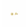 Boucles d´oreilles Femme Radiant RY000153