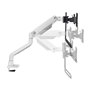 Support de table d'écran Neomounts DS75S-950WH2 Blanc 27"