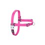 Harnais pour Chien Red Dingo 42-59 cm Fuchsia S/M