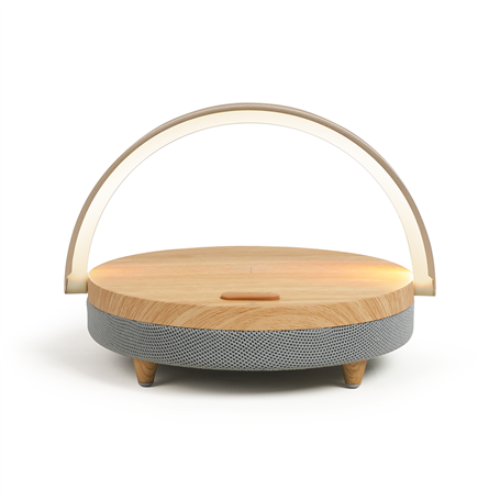 Enceinte Filaire Lumineuse TES242 + Charge induction Livoo