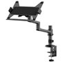 Neomounts DS20-425BL1 Support dordinateur portable inclinable, réglabl
