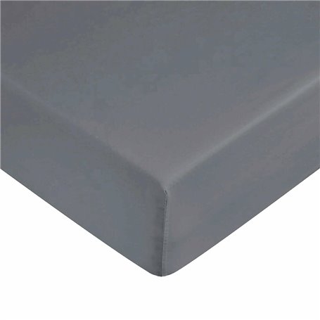 Drap housse Harry Potter Gris 105 x 200 cm