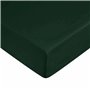 Drap housse Harry Potter Vert 70x140 cm