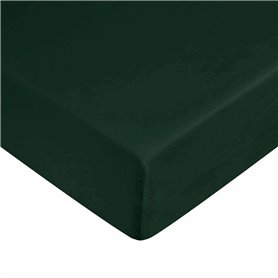 Drap housse Harry Potter Vert 60 x 120 cm