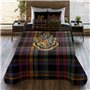 Couette légère Harry Potter Classic Hogwarts Multicouleur 250 g/m² 235