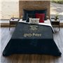 Housse de Couette Harry Potter Dormiens Draco 180 x 220 cm Lit 1 perso