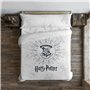Housse de Couette Harry Potter Dormiens Draco 200 x 200 cm Lit de 120