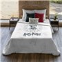 Housse de Couette Harry Potter Dormiens Draco 200 x 200 cm Lit de 120
