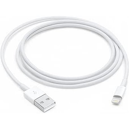 Câble USB vers Lightning Apple Blanc 1 m