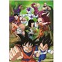 Puzzle Educa Dragon Ball