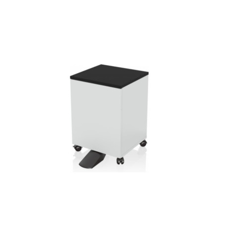 Epson 7112285 meuble d'imprimante Noir