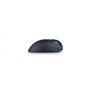 Kensington Pro Fit Ergo TB550 souris Droitier RF sans fil + Bluetooth Trackball 1600 DPI