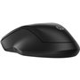 Souris sans-fil HP 255 Noir 1600 dpi