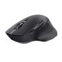 Souris sans-fil Trust 24820 Noir 3200 DPI