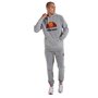 Sweat à capuche homme Ellesse Dahryl OH Gris clair