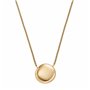 Collier Femme Skagen SKJ1774710