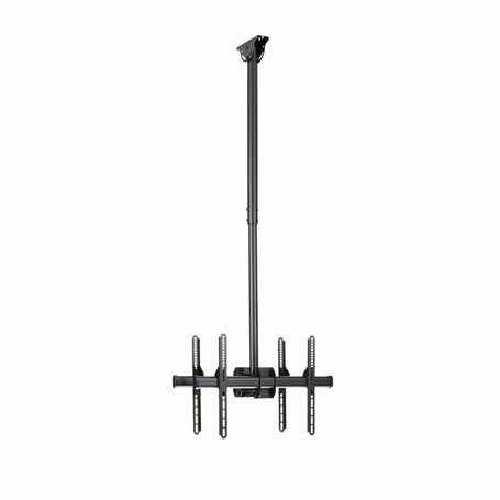 Support de TV Startech FPCEILBTB