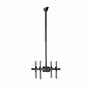 Support de TV Startech FPCEILBTB