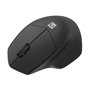 Souris sans-fil Natec SISKIN 2 Noir