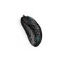 Souris Endorfy EY6A002 Noir Multicouleur