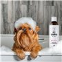 Shampoing pour animaux de compagnie Pets Aloe Vera 250 ml Chat