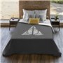 Housse de Couette Harry Potter 240 x 220 cm Gran lit 2 persones