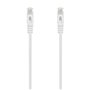 Câble Réseau Rigide UTP 6ème Catégorie Aisens A145-0596 Blanc 2 m
