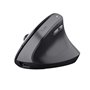 Souris Trust 25145 Noir