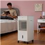 Climatiseur à Évaporation Portable Multifonction Airvecove InnovaGoods 5 L 65 W