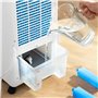 Climatiseur à Évaporation Portable Multifonction Airvecove InnovaGoods 5 L 65 W