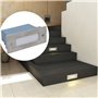 vidaXL Lampe d'escalier encastrée à 2 LED 44x111x56 mm