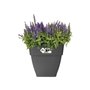 Elho Vibia Campana Bac a fleurs Carré 37 - Noir - Ø 36 x H 36 cm - extérieur - 100% recyclé