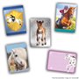 Pack de démarrage - PANINI - Collection de cartes pour les fans de chevaux - Contient 1 classeur + 2 pochettes