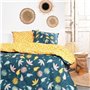 Parure de lit - TODAY - Sunshine - 119462 - 2 personnes - 260x240cm - Coton - Imprimé 11.42