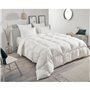 TOISON D'OR - Couette Daisy chaude (300g/m²) - 220x240cm - Plumette et duvet - 2 personnes - Blanc
